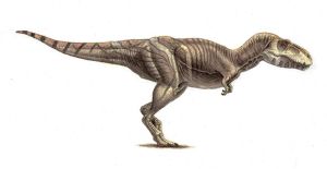 Tarbosaurus_1129075